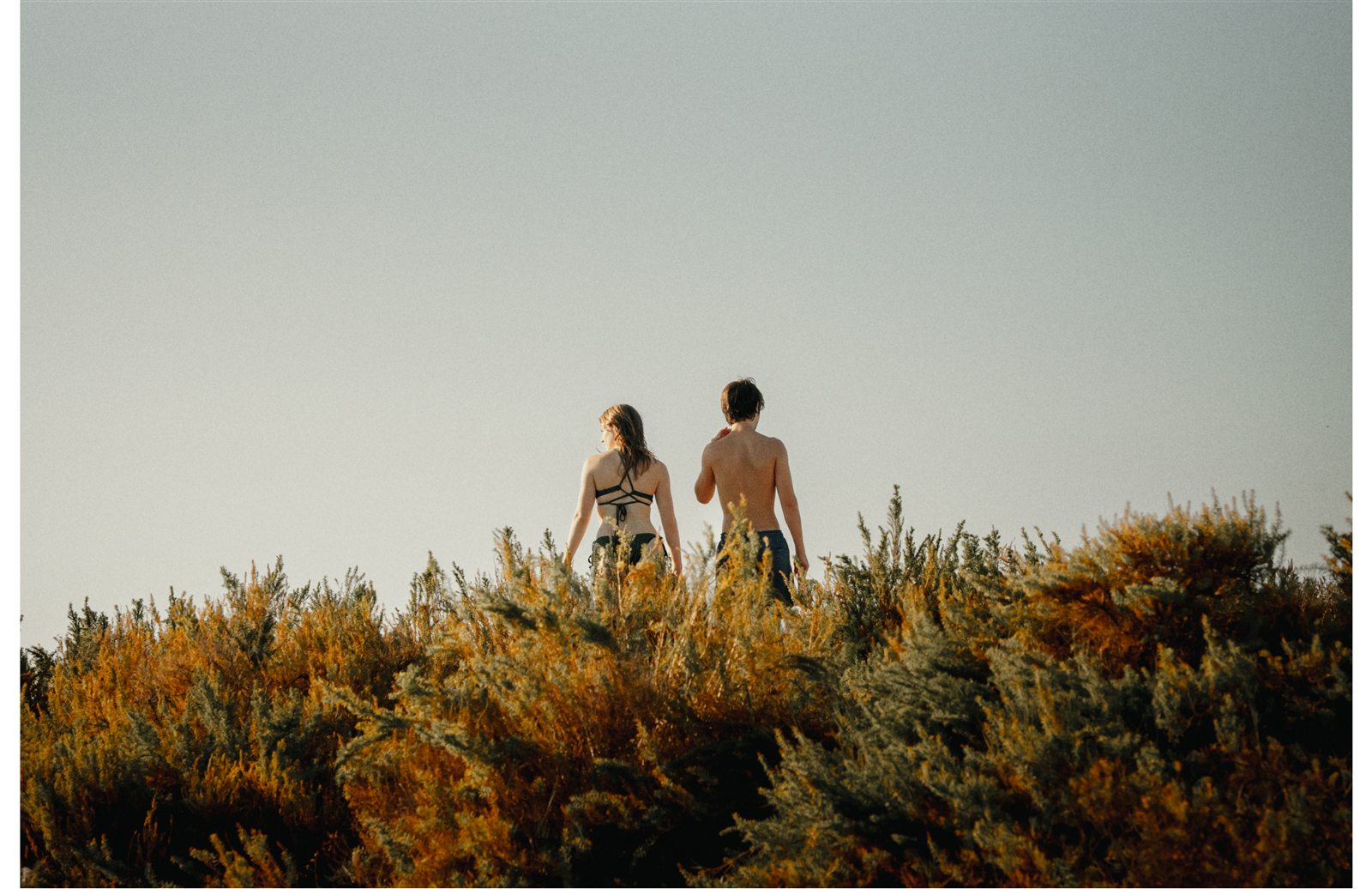 A couple seen from behind standing in tall golden grass