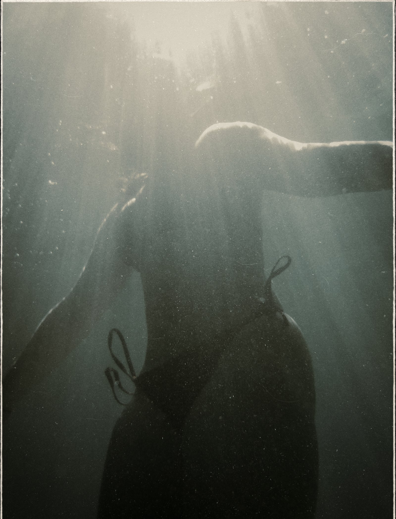 An underwater swimmer silhouetted against sun rays from above